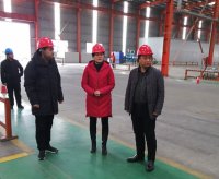 鎮(zhèn)黨委書記帶隊開展歲末年初安全生產(chǎn)檢